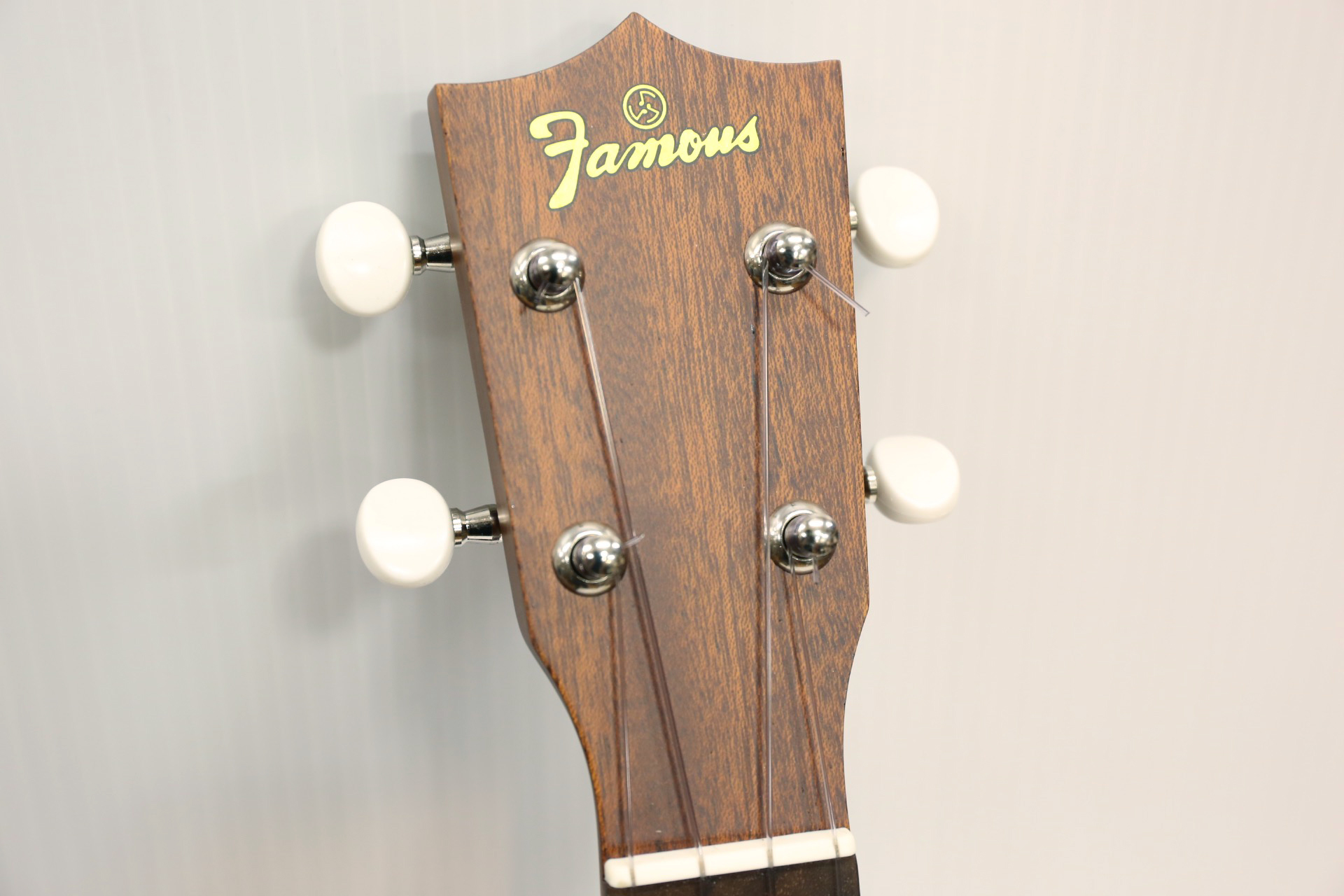 Famous FS-1G 2015モデル2