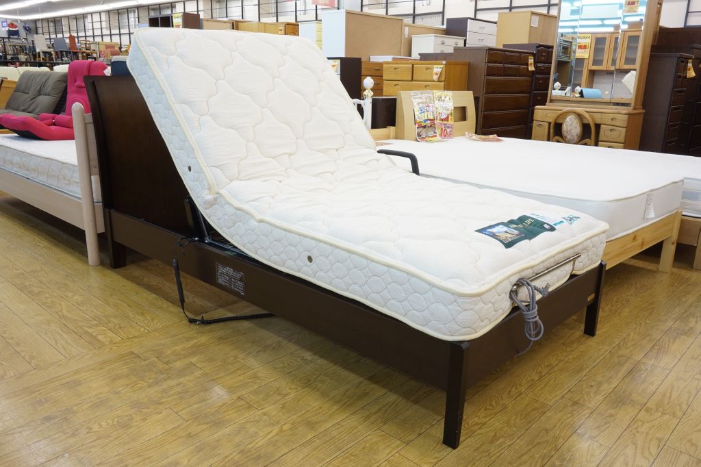 フランスベッド　シングルサイズ　電動リクライニングベッド